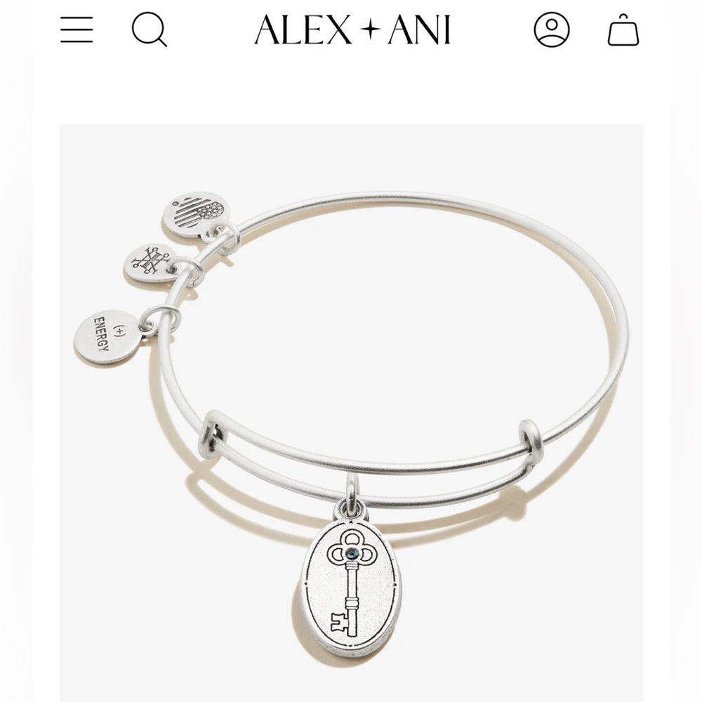New Alex and Ani Key to Wisdom II Bangle